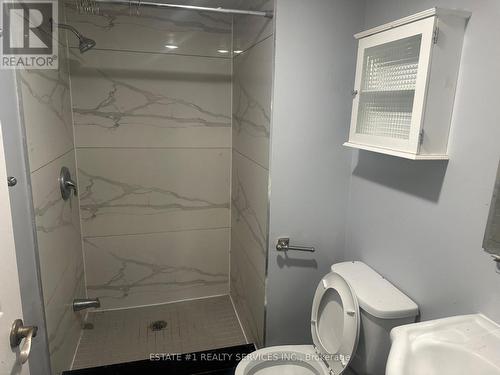 176 Kenneth Avenue, Kitchener, ON - Indoor Photo Showing Bathroom