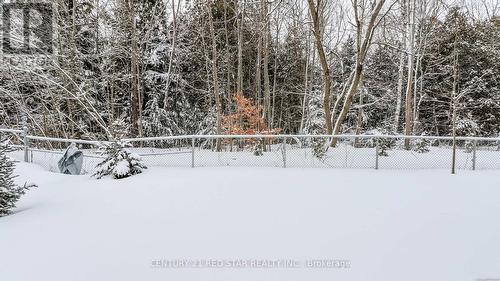 32 Milson Crescent, Essa, ON - Other