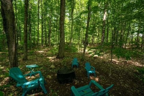 Cour - 54 Rue De Lorimier, Saint-Colomban, QC - Outdoor