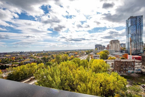 Autre - 1806-1288 Av. Des Canadiens-De-Montréal, Montréal (Ville-Marie), QC - Outdoor With View