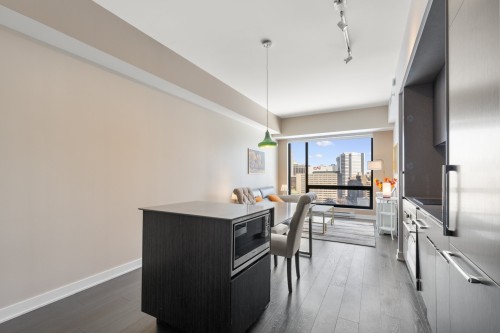 Cuisine - 1806-1288 Av. Des Canadiens-De-Montréal, Montréal (Ville-Marie), QC - Indoor Photo Showing Kitchen