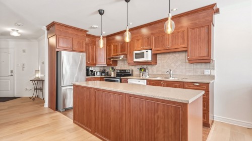 Kitchen - 202-288 Rg Des Vingt, Saint-Basile-Le-Grand, QC - Indoor Photo Showing Kitchen