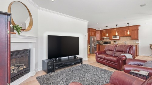 Living Room - 202-288 Rg Des Vingt, Saint-Basile-Le-Grand, QC - Indoor Photo Showing Living Room With Fireplace