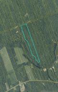 21.42 acres Rte 355 Rang-Saint-Georges, NB E8R 2B6