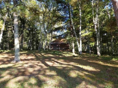 76 Ojibway Drive, Eagle River, ON - Outdoor