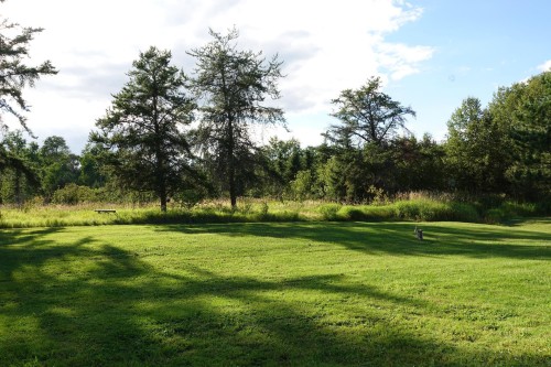 Cour - 5792 Boul. Témiscamingue, Rouyn-Noranda, QC - Outdoor With View