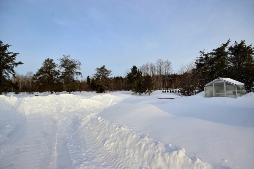 Cour - 5792 Boul. Témiscamingue, Rouyn-Noranda, QC - Outdoor With View