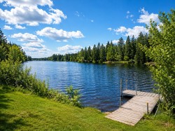 Bord de l'eau - 