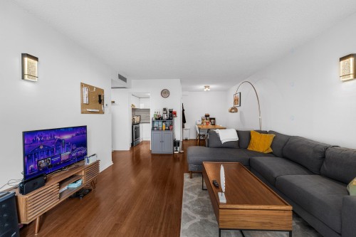 Salon - 880-1250 Av. Des Pins O., Montréal (Ville-Marie), QC - Indoor Photo Showing Living Room