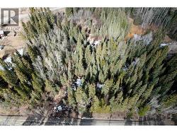 6399 LAMBLEY ROAD Horse Lake, BC V0K 2E3