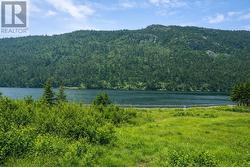 10-12 14-16 18-20 Morgans Road  North River, NL A0A 3C0