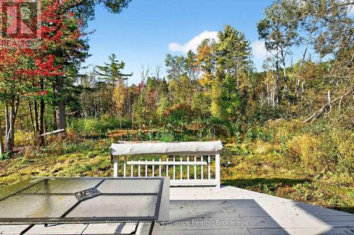 556 Champlain Road, Tiny, ON - Outdoor