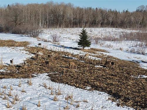 67111 Deacon Rd 23E Rd, Springfield Rm, MB 