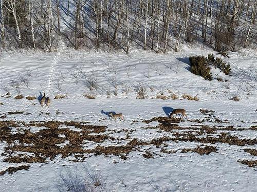 67111 Deacon Rd 23E Rd, Springfield Rm, MB 