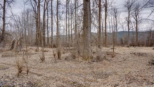 6524 Highway 6, Coldstream, BC - Outdoor With View