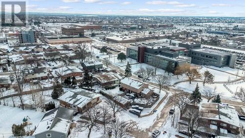 5 Carrington Court, Hamilton, ON - Outdoor With View