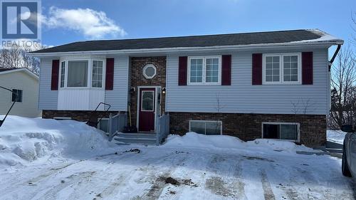 14 Fowlow Drive  Stephenville, NL A2N 3R6