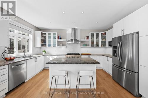 175 Armstrong Street, Ottawa, ON - Indoor Photo Showing Kitchen With Upgraded Kitchen