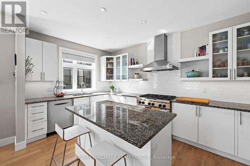 175 Armstrong Street, Ottawa, ON - Indoor Photo Showing Kitchen With Upgraded Kitchen