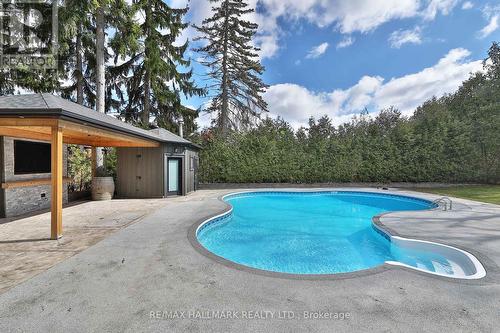 88 Colonel Danforth Trail, Toronto, ON - Outdoor With In Ground Pool