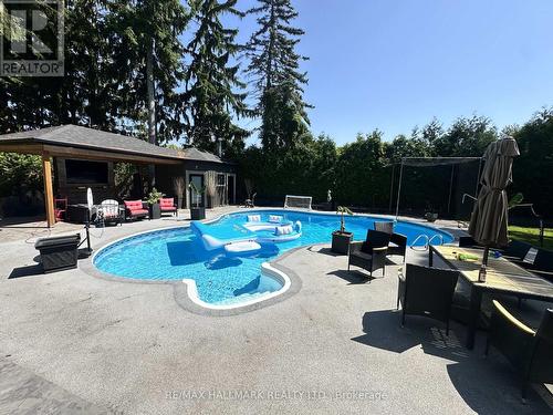 88 Colonel Danforth Trail, Toronto, ON - Outdoor With In Ground Pool With Backyard