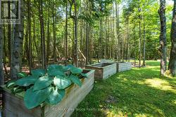 Cultivate your green thumb - 