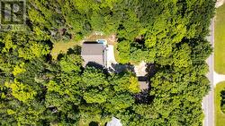 Privately treed 1 Acre property - 