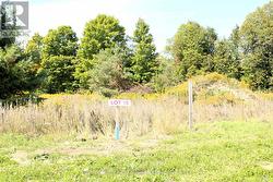 8 GREENLAW COURT Springwater, ON L0L 1V0