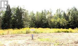 19 RUMBLE COURT Springwater, ON L0L 1V0