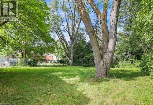 View of yard - 7 Cardill Crescent, Waterloo, ON - Outdoor