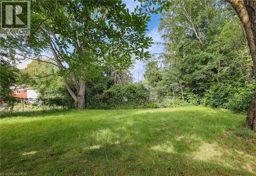 View of green lawn - 7 Cardill Crescent, Waterloo, ON - Outdoor