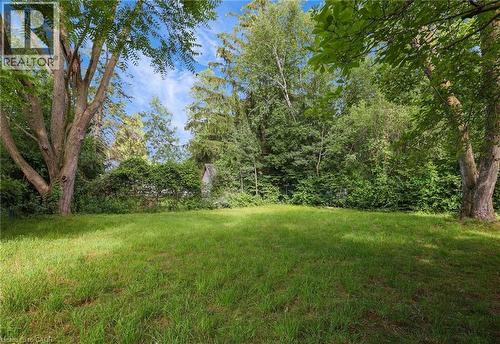 View of green lawn - 7 Cardill Crescent, Waterloo, ON - Outdoor