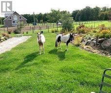 303 ESCOTT ROCKPORT ROAD  Leeds And The Thousand Islands, ON K0E 1R0