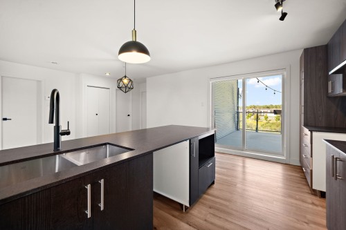 Kitchen - 201-645 Rue René-Lecavalier, Terrebonne (Terrebonne), QC - Indoor Photo Showing Kitchen With Double Sink