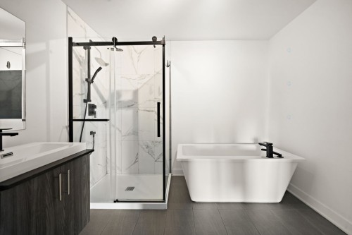 Bathroom - 201-645 Rue René-Lecavalier, Terrebonne (Terrebonne), QC - Indoor Photo Showing Bathroom