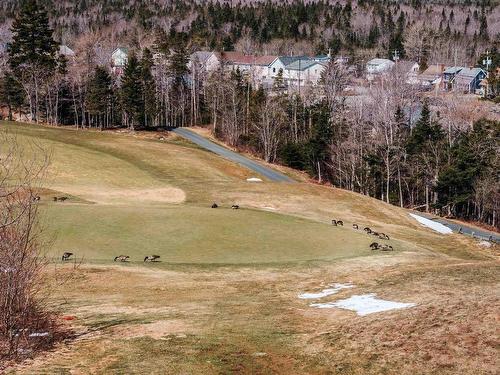 71 Maple Grove Avenue, Timberlea, NS 