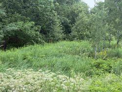 Lot 235 Landsdowne Station Road Lansdowne Station, NS B0K 2A0