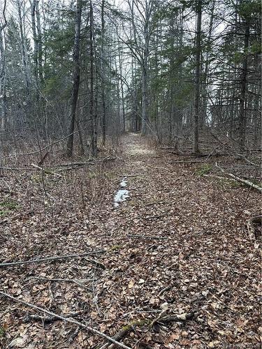 Lot 23-03 Chemin Du Lac, Memramcook East, NB 