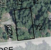 71 Birch Close Anglemont, BC V0E 1M8