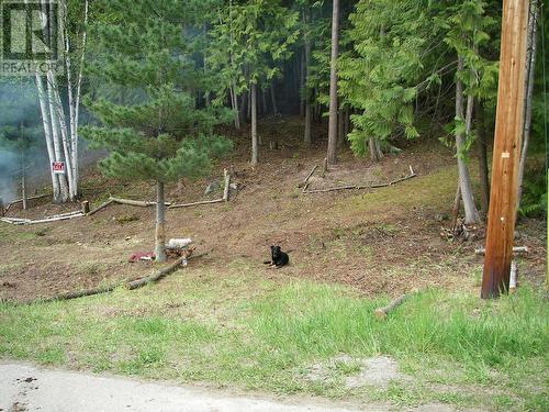 71 Birch Close, Anglemont, BC 
