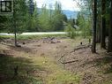 71 Birch Close, Anglemont, BC 