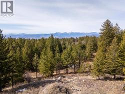 490 Wapiti Way  Osoyoos, BC V0H 1V6