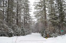 71 BLACK CREEK ROAD N Nipissing, ON P0H 1W0