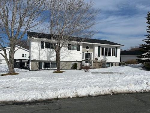 17 Tweedsmuir Place  Mount Pearl, NL A1N 2L7