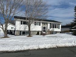 17 Tweedsmuir Place Mount Pearl, NL A1N 2L7