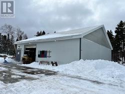 151A Springfield Road South River, NL A0A 3W0