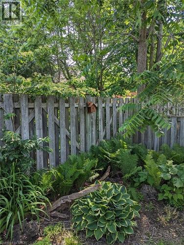 Summer fence line - 594 Hunters Place, Waterloo, ON - Outdoor