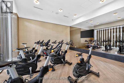 802 - 30 Inn On The Park Drive, Toronto, ON - Indoor Photo Showing Gym Room