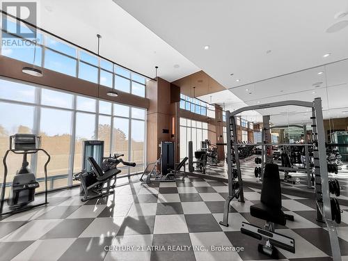 802 - 30 Inn On The Park Drive, Toronto, ON - Indoor Photo Showing Gym Room