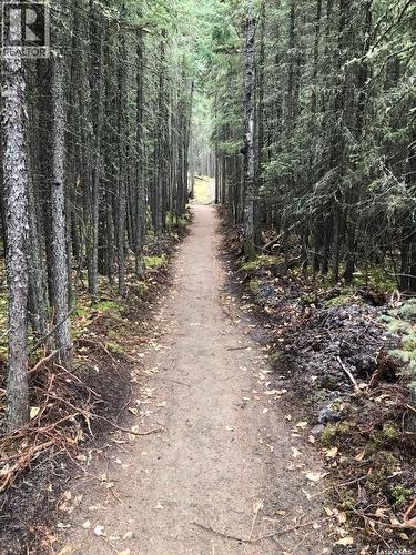 930 Sinotte Crescent, La Ronge, SK - Outdoor With View